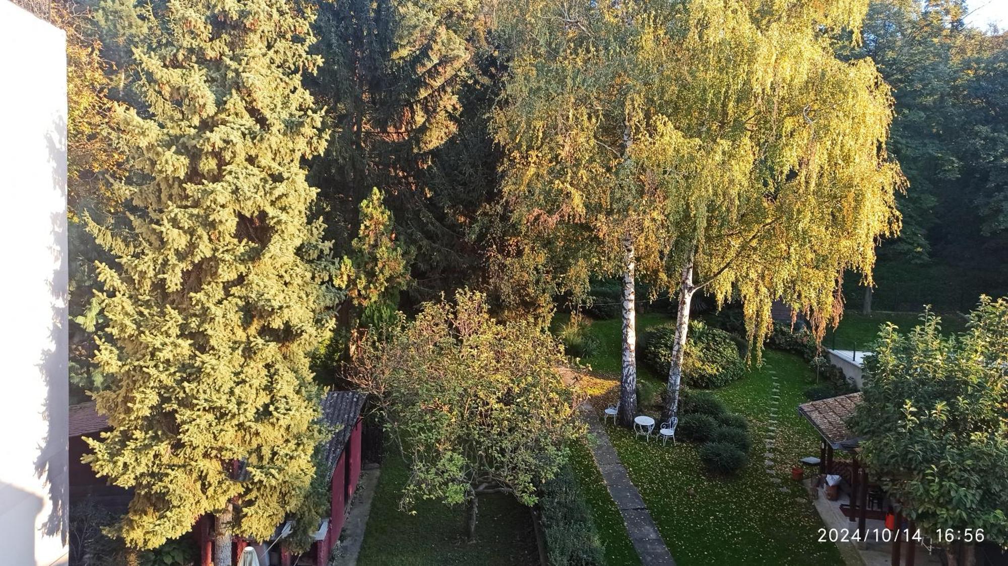 Apartman Oaza Olja Belgrado Exterior foto