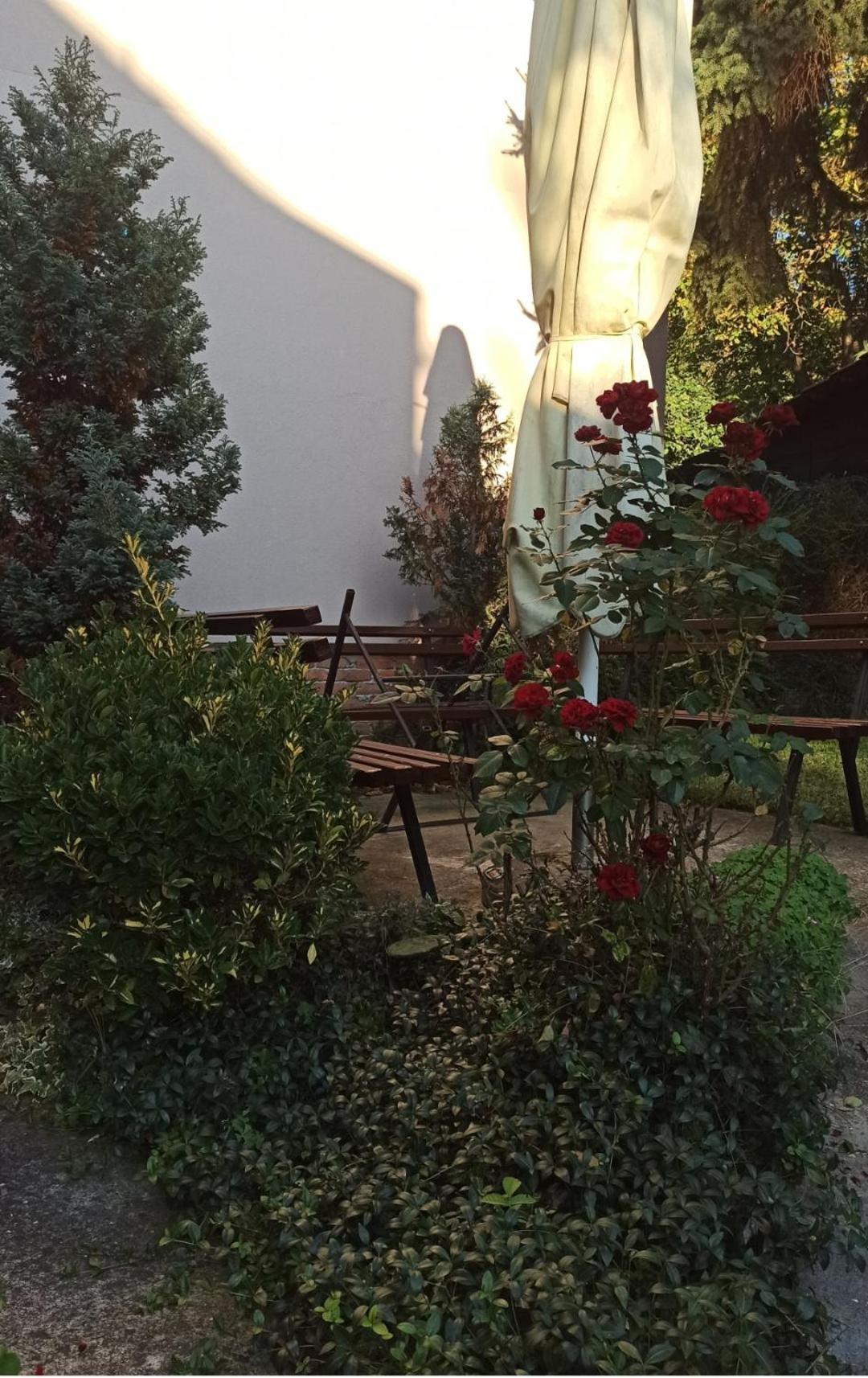 Apartman Oaza Olja Belgrado Exterior foto